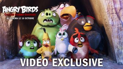 Angry-Birds-:-Copains-Comme-Cochons-video-2