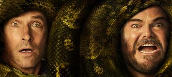 Anaconda