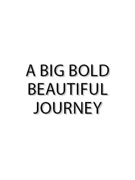 A big bold beautiful journey