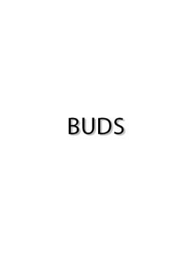 Buds